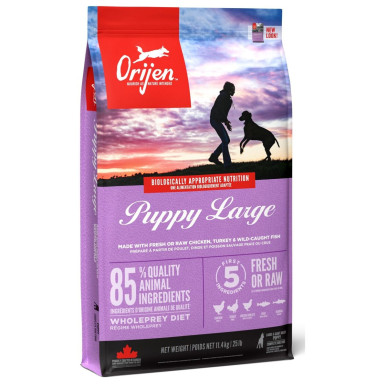 ORIJEN Puppy Large Breed – hrană uscată fără cereale pentru câini juniori de talie mare, cu pui și curcan, 11,4 kg